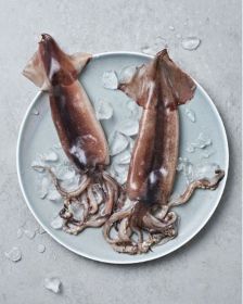 MSR Frozen Whole Squid 1kg