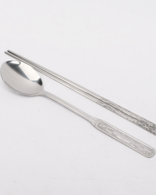 10 Stainless Spoon